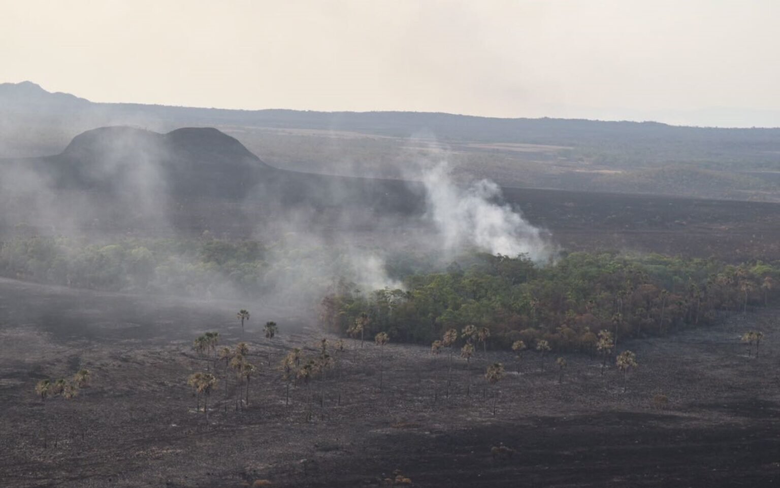 mpf-apura-causas-de-incendio-que-destroi-parque-nacional-da-chapada-dos-veadeiros