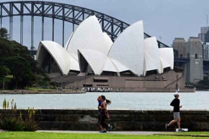 tubarao-ataca-nadadora-em-sydney-e-a-deixa-com-ferimento-grave-na-perna