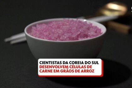 cientistas-da-coreia-do-sul-desenvolvem-celulas-de-carne-em-graos-de-arroz