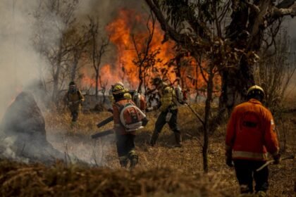 medida-provisoria-flexibiliza-transferencia-de-recursos-para-combate-a-incendios-florestais