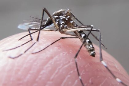 camara-aprova-pensao-vitalicia-e-indenizacao-as-pessoas-com-deficiencia-permanente-associada-ao-zika-virus