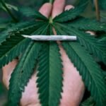 homem-registra-bo-apos-nao-receber-maconha-e-diz-que-traficante-agiu-de-ma-fe-em-go