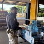 prf-apreende-2-mil-macos-de-cigarros-contrabandeados-na-br-364