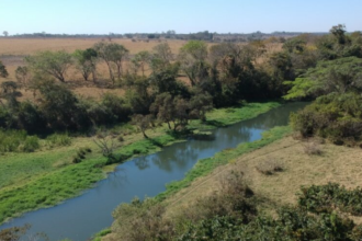 governo-divulga-edital-para-gestao-de-fundos-na-area-do-meio-ambiente-e-recursos-hidricos