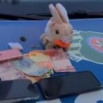 policia-prende-traficantes-que-escondiam-drogas-em-‘coelho-da-pascoa’-em-caldas-novas