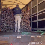 prf-apreende-caminhao-que-transportava-madeira-ilegal-na-br-153,-em-anapolis